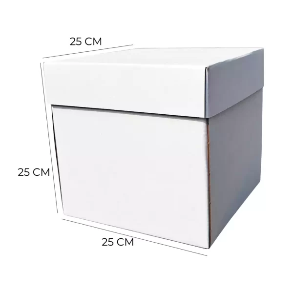 CAJAS-TIPO-CUBO-25x25x25-min.webp
